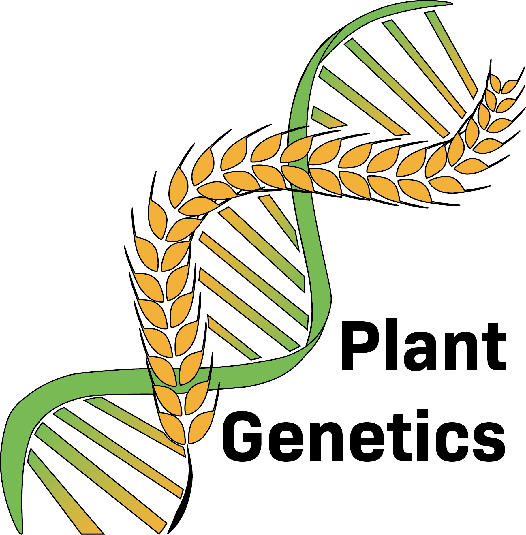 Collection logo